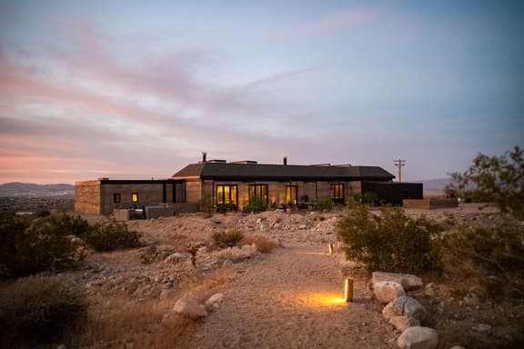 DOVE - Image 1